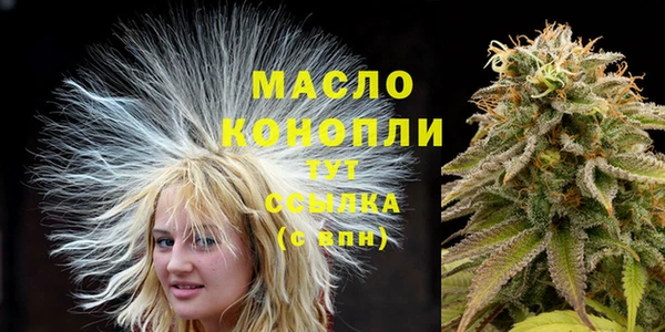 мдпв Богородицк