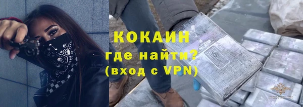 прущие грибы Богданович