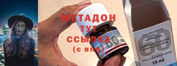 прущие грибы Богданович