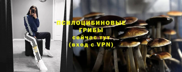 стафф Богородск