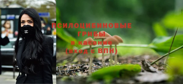 стаф Белокуриха