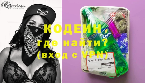 мдпв Богородицк