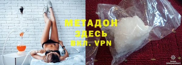 прущие грибы Богданович