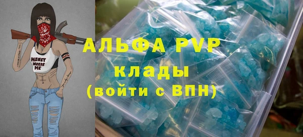 стаф Белокуриха