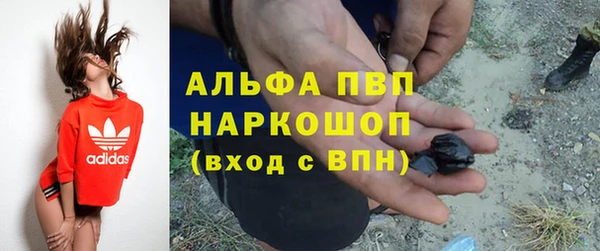 прущие грибы Богданович